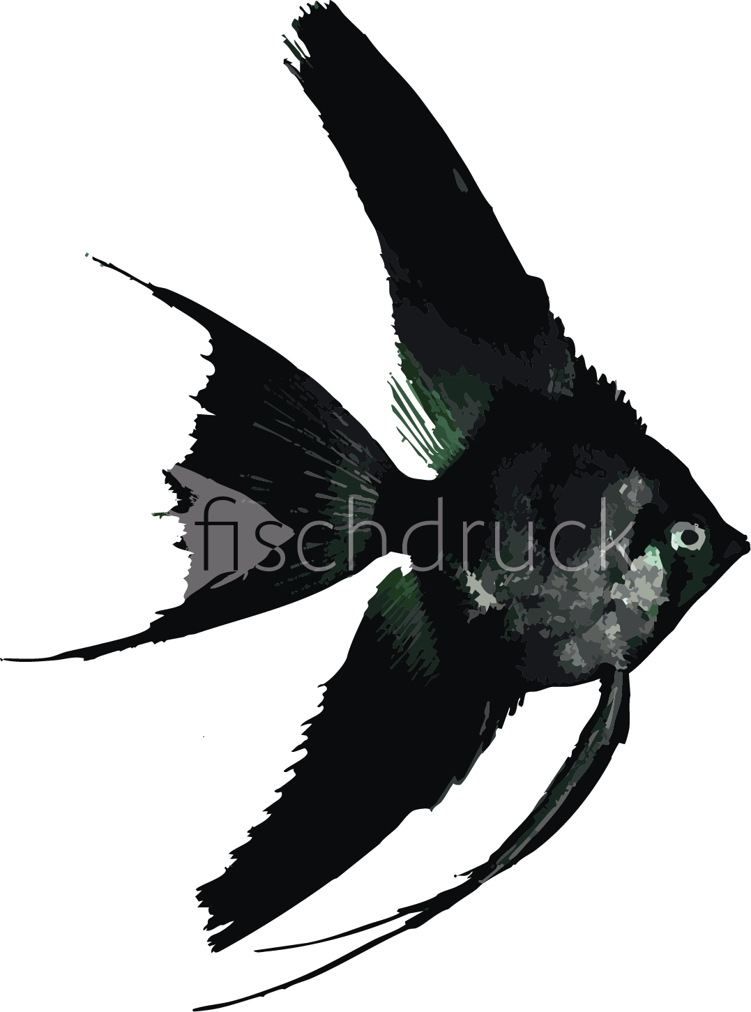 black cape fish t-shirt