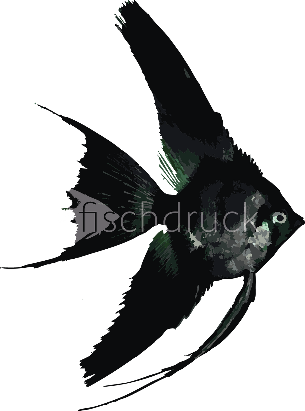 black cape fish t-shirt