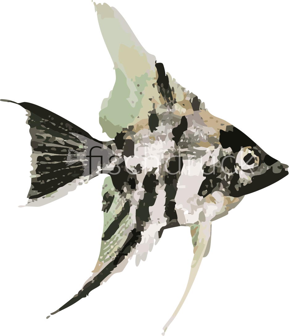 velvet green fish t-shirt