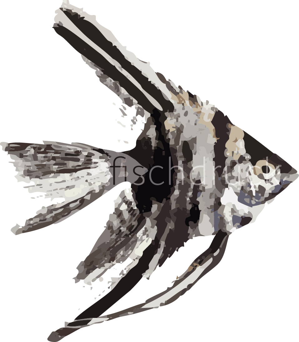 grey tiger fish t-shirt