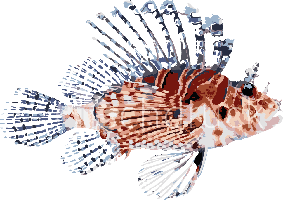 lion fish t-shirt