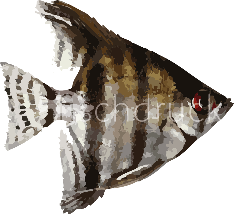 red eyed fish t-shirt