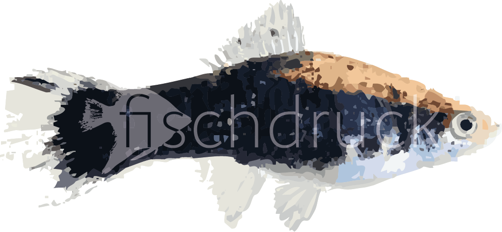 blue&gold fish t-shirt